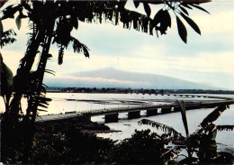 CAMEROUN DOUALA  Pont Sur Le WOURI   36 (scan Recto-verso)MA2295Und - Kamerun