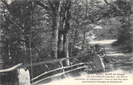 GLAPIGNY Et BELLECOMBE La CHARNIAZ Pont Et Voie Romaine  29 (scan Recto-verso)MA2295Vic - Other & Unclassified