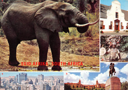 South Africa   Elephant  Cape Town  Johannesburg Pretoria Durban 27 (scan Recto-verso)MA2296 - Sud Africa