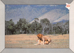 KENYA  Lions  32 (scan Recto-verso)MA2296 - Kenia