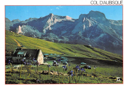 Col De L'aubisque Et Pic Du Ger  9   (scan Recto-verso)MA2297Und - Other & Unclassified