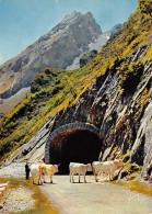 ARGELES GAZOST  Route Du Col De L'aubisque  21 (scan Recto-verso)MA2297Und - Argeles Gazost