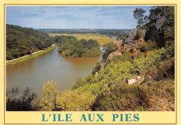 REDON  L'île Aux Pies  18  (scan Recto-verso)MA2298 - Redon