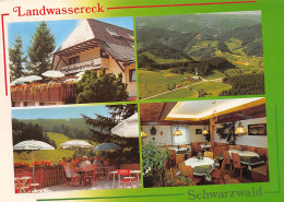 Elzach Schwarzwald Höhengasthaus Pension Landwassereck  Besitzer Thomas Armbruster  41 (scan Recto-verso)MA2298Vic - Other & Unclassified