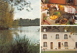 AUBIGNY Sur NEVE Hotel Restaurant LE CHEVAL BLANC Sainte Montaine  11   (scan Recto-verso)MA2299 - Aubigny Sur Nere