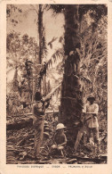 GABON  Palmiers à Huile  13 (scan Recto-verso)MA2299Bis - Gabun