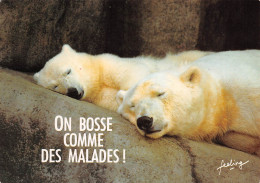 HUMOUR   OURS BLANCS  On Bosse Comme Des Malades  36 MA2299Bis - Humour