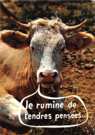 HUMOUR   Vache Qui Rumine De Tendres Pensées   41 MA2299Bis - Humour