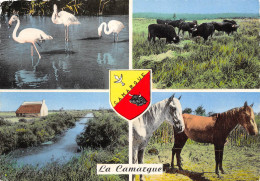 13 Camargue  24 (scan Recto-verso)MA2299Und - Saintes Maries De La Mer