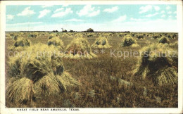 12175623 Amarillo Whet Field - Sonstige & Ohne Zuordnung