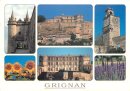 GRIGNAN L Entree Du Chateau Du Comte De Grignan 16(scan Recto-verso) MC2411 - Grignan