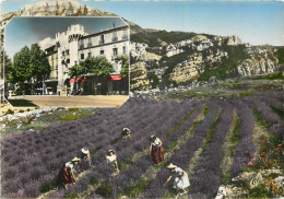 MANOSQUE Porte Saunerie 13(scan Recto-verso) MC2446 - Manosque