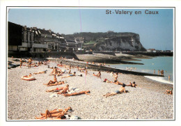 ST VALERY EN CAUX LA PLAGE ET LES FALAISES 2(scan Recto-verso) MC2473 - Saint Valery En Caux