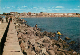 LE GRAU D AGDE La Plage 29(scan Recto-verso) MC2468 - Agde