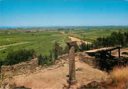 Environs De BEZIERS L Oppidum D Enserune 12(scan Recto-verso) MC2485 - Beziers