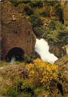 LE MASSIF DE L AIGOUAL La Source De La Foux A La Resurgence 10(scan Recto-verso) MC2478 - Autres & Non Classés