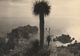 AD130 Taormina (Messina) - Isola Bella E Capo Sant'Andrea - Panorama / Non Viaggiata - Autres & Non Classés