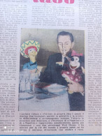 LA TRIBUNA ILLUSTRATA 1951 WALT DISNEY SUB PALOMBARI FLORIDIA ELSA MERLINI CLARA CALAMAI - Autres & Non Classés