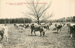 11* CHEMINIERES  Chateau –  Vaches           MA99,0779 - Autres & Non Classés