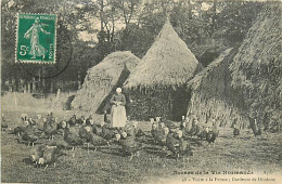 14* NORMANDIE  Ferme – Gardeuse De Dindons           MA99,1318 - Boerderijen