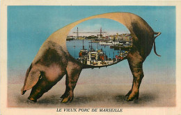 13* MARSEILLE   Vieux PORC  De Marseille (humour) MA99,1189 - Humor