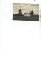 Buggenhout - Weyveldmolen - Moulin  Weyveld - Buggenhout