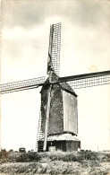 59* HONDSCHOOTE Le Moulin  Veryepe  CPSM  (format 9x14cm)      RL25,1079 - Hondshoote