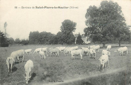 58* ST PIERRE LE MOUTIER   Bovins Au Pre       RL25,0957 - Allevamenti