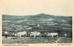 58* ST HONORE LES BAINS  Labour Avec 6 Bœufs        RL25,0900 - Cultures