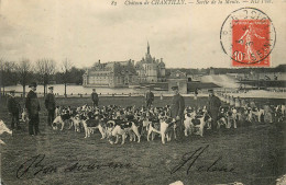 60* CHANTILLY   Chateau    Sortie De La Meute RL25,1542 - Chasse