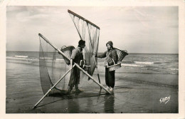 62* BERCK PLAGE    Pecheurs De Crevettes  CPSM  (format 9x14cm)   RL25,2084 - Pêche