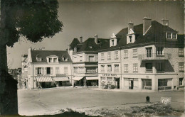 61* ARGENTAN   Plac Du Marche  CPSM  (format 9x14cm)   RL25,1730 - Argentan