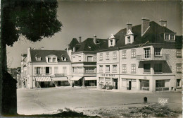 61* ARGENTAN   Place Du Marche  CPSM  (format 9x14cm)   RL25,1726 - Argentan