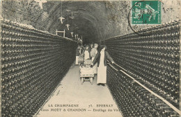 51* EPERNAY  Moet Et Chandon  - Elevage Des Vins       RL37.0426 - Epernay