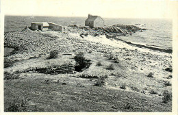 56* LA TRINITE S/MER  La Pointe De Kerbihan CPSM (9x14cm)            RL37.0887 - Sainte Hermine