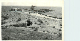 56* LA TRINITE S/MER  La Pointe De Kerbihan      CPSM (9x14cm)     RL37.0881 - Sainte Hermine