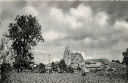 55* AVIOTH  Le Village  CPSM (9x14cm)          RL37.0793 - Avioth