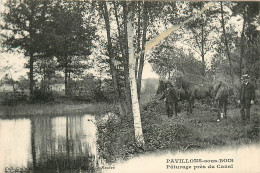 93* PAVILLONS SOUS BOIS  Paturage Pres Du Canal    RL37.1289 - Other & Unclassified