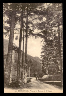 68 - RIBEAUVILLE - VUE SUR LE CHATEAU DE ST-ULRICH - Ribeauvillé