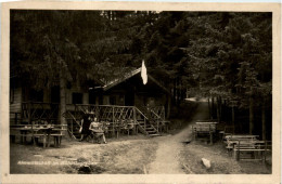 Schmittenhöhe, Almwirtschaft - Zell Am See