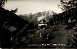 Lammerbauer In Der Fölz B. Aflenz Mit Fölzstein - Alfenz