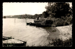 77 - BOISSISE-LA-BERTRAND - LES BORDS DE LA SEINE - Other & Unclassified