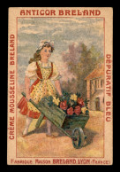 CHROMOS - ANTICOR BRELAND, LYON - FILLETTE ET BROUETTE DE FLEURS - FORMAT  7.5 X 11 CM - Otros & Sin Clasificación