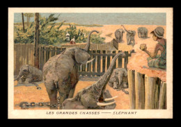 CHROMOS - LES GRANDES CHASSES - ELEPHANT - FORMAT  7 X 10.5 CM - Other & Unclassified