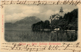 Luzern - Gruss Vom Hotel Schloss Hertenstein - Lucerne