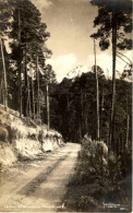 Camino Al Nevado De Tollica - México