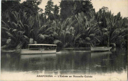 Arapokina - L Entree En Nouvelle Guinee - Papouasie-Nouvelle-Guinée