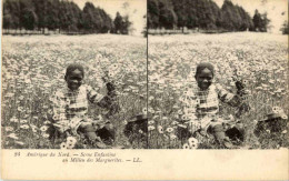 Scene Engantine - Stereo Card - Andere & Zonder Classificatie