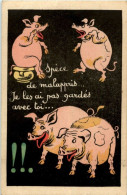 Schweine Pig - Cochons