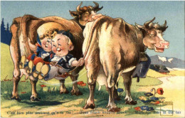 Kühe - Minouvis - Mucche